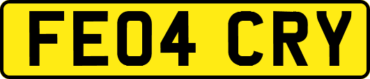 FE04CRY