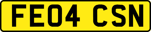 FE04CSN