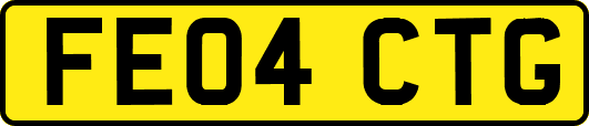 FE04CTG