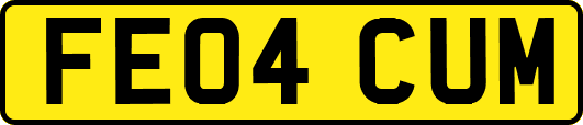 FE04CUM