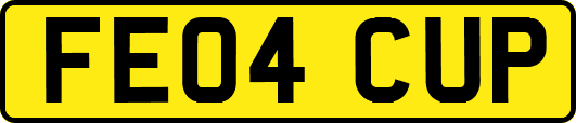 FE04CUP