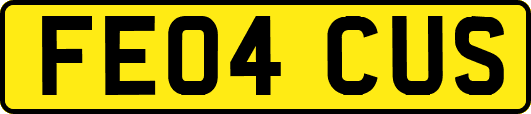 FE04CUS