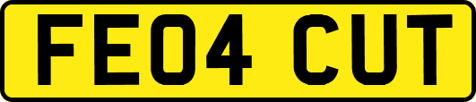 FE04CUT