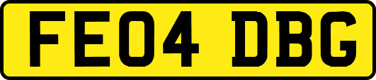 FE04DBG