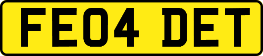 FE04DET