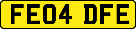 FE04DFE
