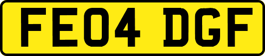 FE04DGF