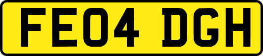 FE04DGH