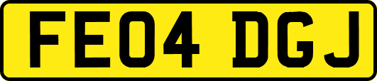 FE04DGJ