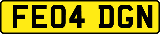 FE04DGN