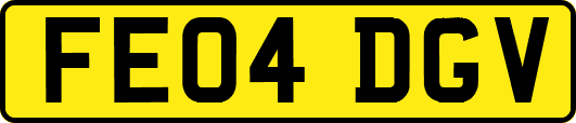 FE04DGV