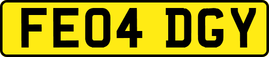 FE04DGY