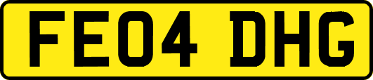 FE04DHG