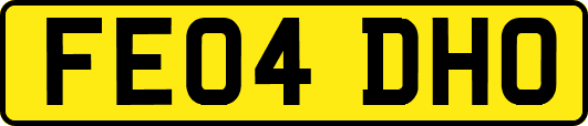 FE04DHO