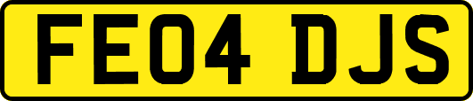 FE04DJS