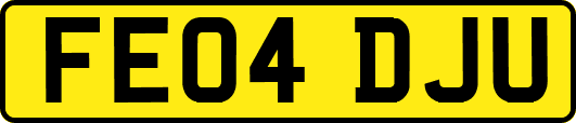 FE04DJU