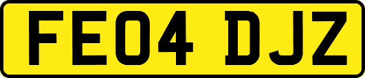 FE04DJZ