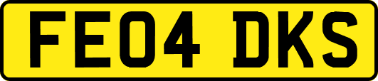 FE04DKS