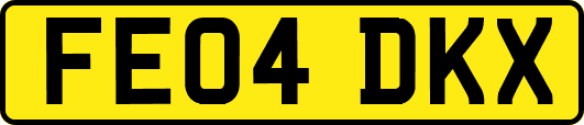 FE04DKX