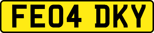 FE04DKY