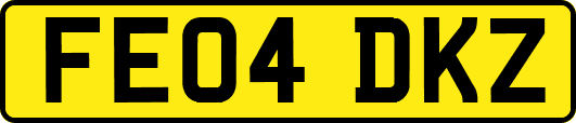 FE04DKZ