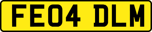FE04DLM