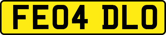 FE04DLO