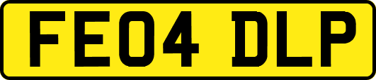 FE04DLP