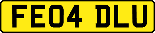 FE04DLU