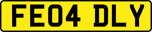FE04DLY