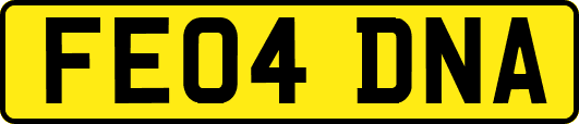 FE04DNA
