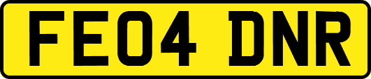 FE04DNR