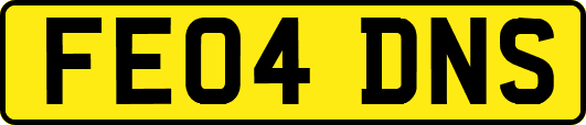 FE04DNS