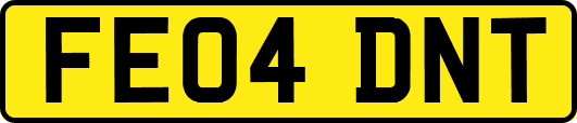 FE04DNT