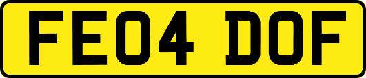 FE04DOF