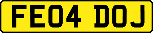 FE04DOJ