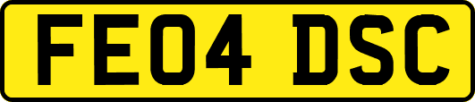 FE04DSC