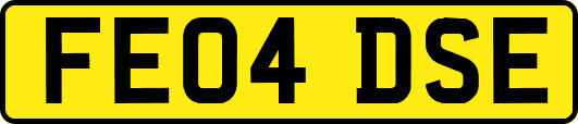 FE04DSE