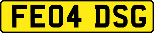 FE04DSG