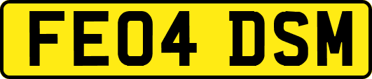 FE04DSM