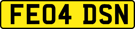 FE04DSN