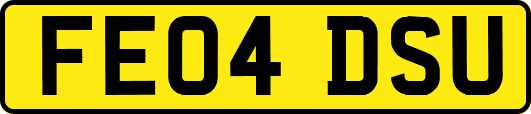 FE04DSU