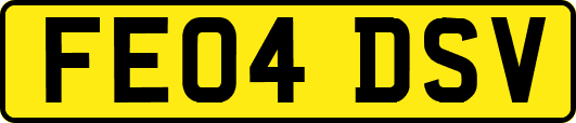 FE04DSV