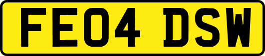 FE04DSW