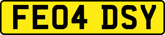 FE04DSY