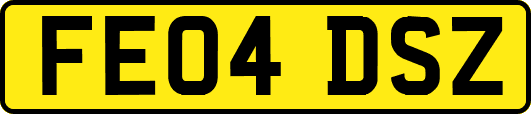 FE04DSZ