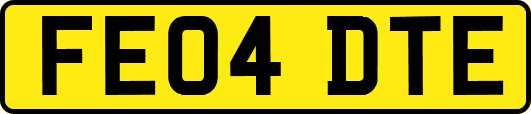 FE04DTE