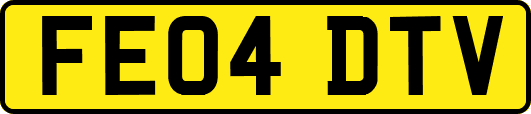 FE04DTV