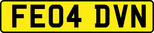 FE04DVN