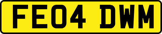 FE04DWM